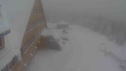 Parkoviště a hlavní vchod