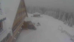 Parkoviště a hlavní vchod