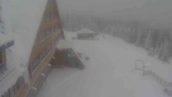 Parkoviště a hlavní vchod