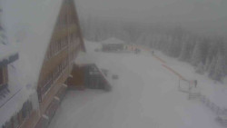 Parkoviště a hlavní vchod