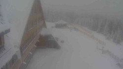 Parkoviště a hlavní vchod