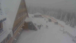 Parkoviště a hlavní vchod