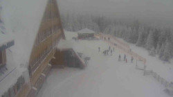 Parkoviště a hlavní vchod