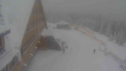 Parkoviště a hlavní vchod