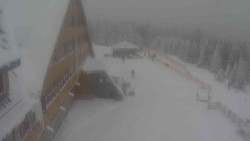 Parkoviště a hlavní vchod