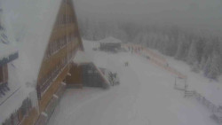 Parkoviště a hlavní vchod