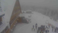 Parkoviště a hlavní vchod