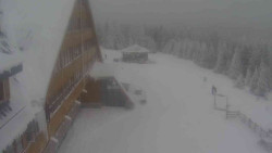 Parkoviště a hlavní vchod