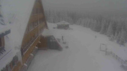 Parkoviště a hlavní vchod