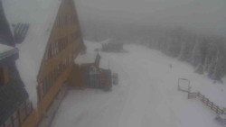 Parkoviště a hlavní vchod