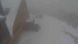 Parkoviště a hlavní vchod