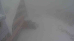 Parkoviště a hlavní vchod