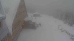 Parkoviště a hlavní vchod