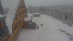 Parkoviště a hlavní vchod