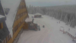 Parkoviště a hlavní vchod