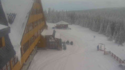 Parkoviště a hlavní vchod