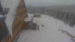 Parkoviště a hlavní vchod