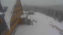 Parkoviště a hlavní vchod