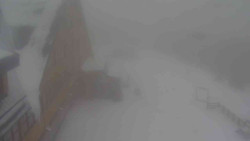 Parkoviště a hlavní vchod