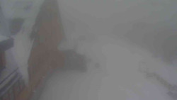 Parkoviště a hlavní vchod