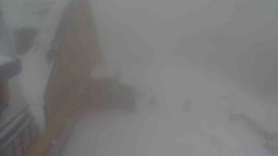 Parkoviště a hlavní vchod