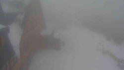 Parkoviště a hlavní vchod