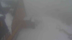 Parkoviště a hlavní vchod