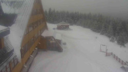 Parkoviště a hlavní vchod