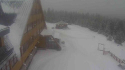 Parkoviště a hlavní vchod