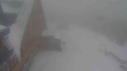 Parkoviště a hlavní vchod