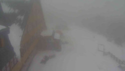 Parkoviště a hlavní vchod