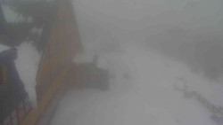 Parkoviště a hlavní vchod