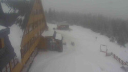 Parkoviště a hlavní vchod