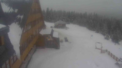 Parkoviště a hlavní vchod