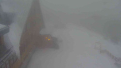 Parkoviště a hlavní vchod