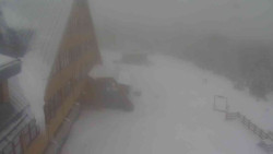 Parkoviště a hlavní vchod