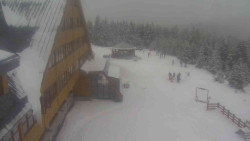 Parkoviště a hlavní vchod