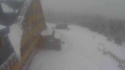 Parkoviště a hlavní vchod