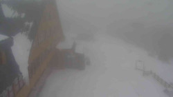 Parkoviště a hlavní vchod