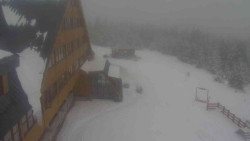 Parkoviště a hlavní vchod