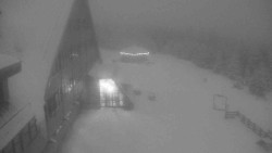 Parkoviště a hlavní vchod