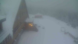 Parkoviště a hlavní vchod