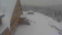 Parkoviště a hlavní vchod