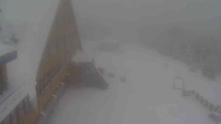 Parkoviště a hlavní vchod