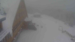 Parkoviště a hlavní vchod