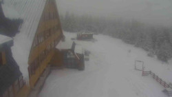 Parkoviště a hlavní vchod