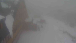 Parkoviště a hlavní vchod