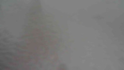 Parkoviště a hlavní vchod