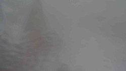 Parkoviště a hlavní vchod