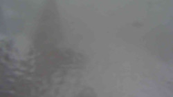 Parkoviště a hlavní vchod